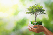 Loi Climat et Résilience | La gamme végétarienne